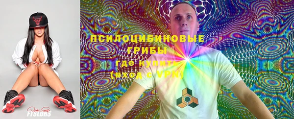 не бодяженный Алексин